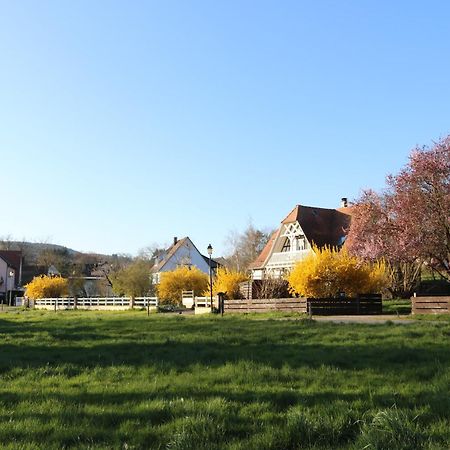 Romantik-Home Nordelsass - Ferienwohnung Fuer Selbstversorger Oberhoffen-les-Wissembourg Esterno foto