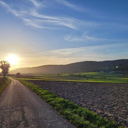 Romantik-Home Nordelsass - Ferienwohnung Fuer Selbstversorger Oberhoffen-les-Wissembourg Esterno foto