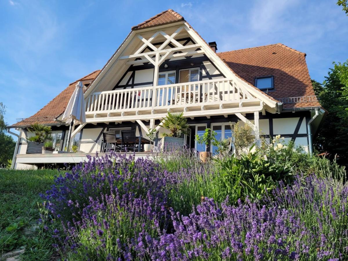 Romantik-Home Nordelsass - Ferienwohnung Fuer Selbstversorger Oberhoffen-les-Wissembourg Esterno foto
