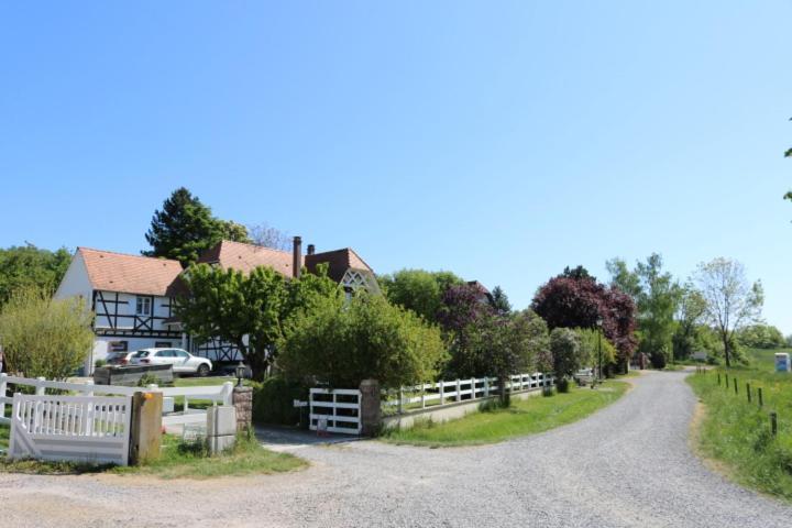Romantik-Home Nordelsass - Ferienwohnung Fuer Selbstversorger Oberhoffen-les-Wissembourg Esterno foto