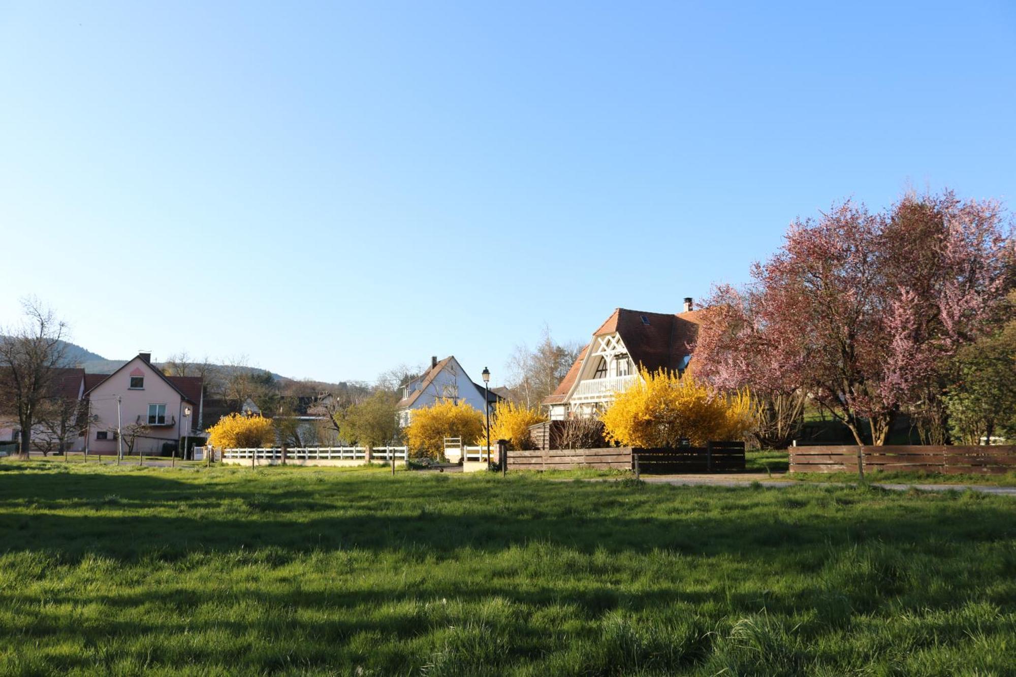 Romantik-Home Nordelsass - Ferienwohnung Fuer Selbstversorger Oberhoffen-les-Wissembourg Esterno foto